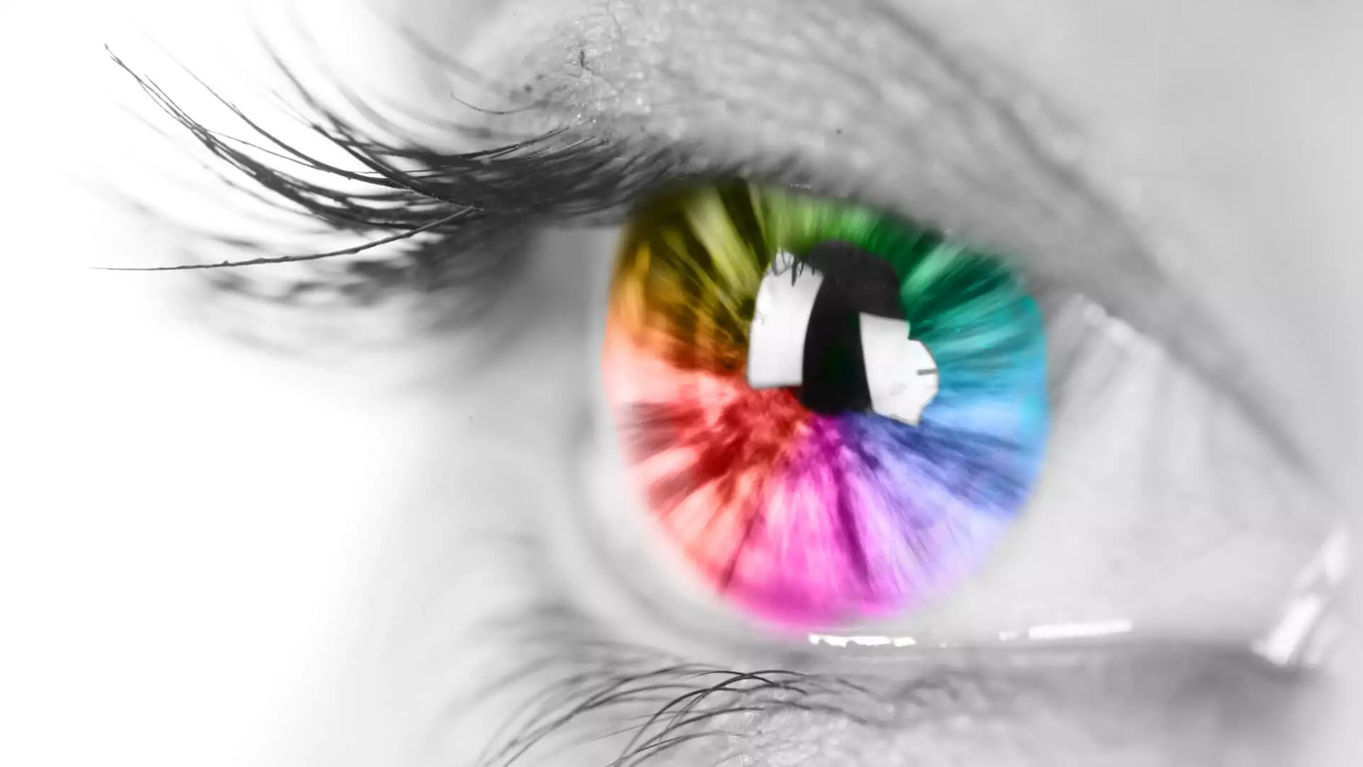 טיפול EMDR: שיטה מתקדמת לטיפול בטראומה ובהפרעות נפשיות